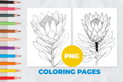 Tropical flower Coloring Pages | Coloring book Product Image 1