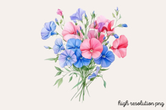 Sweet Pea Flower Watercolor Clipart PNG Product Image 1