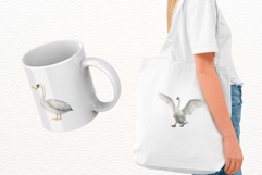 Summer Lake Swan Clipart Product Image 3