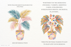 Charm Summer Houseplant Clipart Product Image 2
