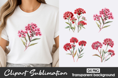 Red Wildflower Watercolor Clipart PNG Product Image 1