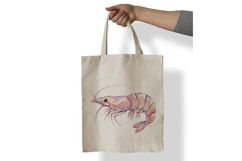 Cute Ocean Shrimp Marine Animal Pink Prawn PNG Summer Product Image 7