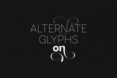 Modo Modern Sans Serif Typeface Product Image 19