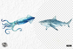 Watercolor Sea Life PNG Clipart Product Image 1