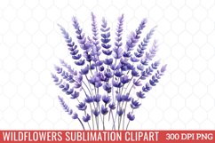 Wildflowers Sublimation Clipart Product Image 1