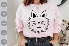 Are You Kitten Me Right Meow? SVG Design/ Cat Mom SVG Product Image 1