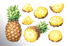 Tropical Pineapple Product Image 27