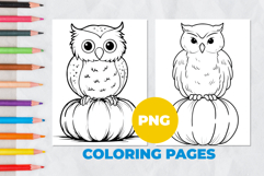Owl on a pumpkin Coloring Pages | Coloring book Product Image 1