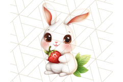 Whimsical Woodland Animals and Nature PNG, Forest Animals Product Image 2