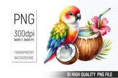 Summer Clipart PNG Bundle, Beach Clipart Design Product Image 15