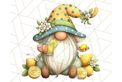 Summer Garden Gnomes Clipart PNG, Summer Country Gnomes Png Product Image 2