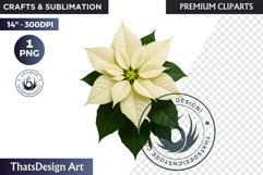 Flower Clipart PNG, Botanical Illustration Floral graphic Product Image 1