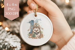 Baby Hedgehog 1st Christmas Sublimation Ornament PNG Product Image 1