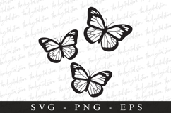 Buterfly SVG | SVG Cut files | Cricut Product Image 1