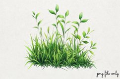 Watercolor Grass Borders Clipart PNG Product Image 1
