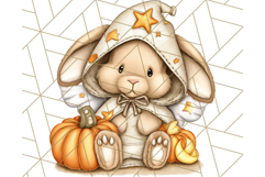 Halloween Fairy Animal Clipart PNG, Cute Spooky Creatures Product Image 2