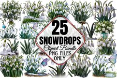 Snowdrops Clipart Bundle PNG Product Image 1