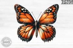 Halloween Butterfly Sublimation - Clipart PNG Bundle Product Image 3