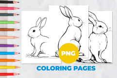 Cute bunny Coloring Pages | Coloring book Product Image 1