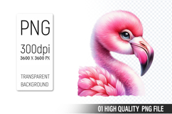 Cute Flamingo Clipart PNG, Printable Animals, Wildlife Desig Product Image 1