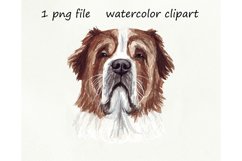 Watercolor dog png, Dog St. Bernard, hand drawn Product Image 1