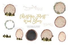 Christmas Forest Clipart, Wood Slice Christmas clipart Product Image 2