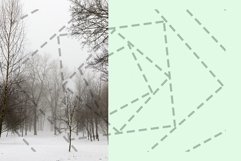 Winter forest Product Image 1