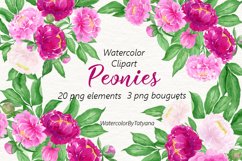 Watercolor Flowers Peonies Clipart. Pink Burgundy Flowers Product Image 1