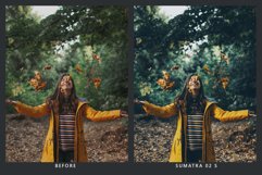 20 Forestry Lightroom Presets &amp; LUTs Product Image 6