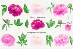 Watercolor Flowers Peonies Clipart. Pink Burgundy Flowers Product Image 4