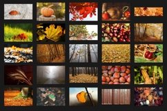 200 AUTUMN DIGITAL PHOTOSHOP OVERLAYS, BACKDROPS BACKGROUNDS Product Image 8