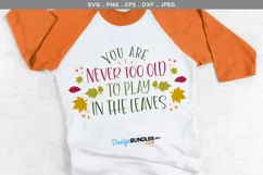 You Are Never Too Old to Play in the Leaves - svg, printable Product Image 1