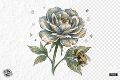 1920 Botanical Summer Wildflowers Clipart Product Image 1