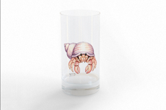 Hermit Crab Seashell Ocean Dweller Marine PNG Summer Product Image 3