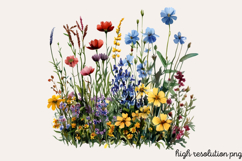 Wildflowers Arrangements Clipart Bundle PNG Product Image 9