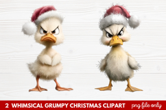 2 Whimsical Grumpy Christmas Clipart | Funny Grumpy Holiday Product Image 1