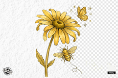 Summer Daisy Breeze Meadow Clipart Product Image 1