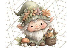 Fall Gnome Clipart PNG Cute Thanksgiving Gnomes Product Image 3