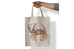 Hermit Crab Seashell Ocean Dweller Marine PNG Summer Product Image 7
