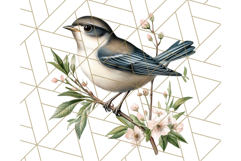 Vintage Song Bird Clipart PNG, Botanical Bird Art Clip Art Product Image 3
