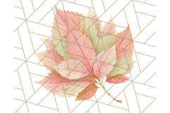 Fall Foliage Clipart PNG, Pink and Green Leaves Product Image 3