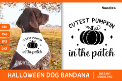Funny Halloween Dog Bandana Quote SVG | Cutest Pumpkin Product Image 1