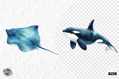 Watercolor Sea Life PNG Clipart Product Image 1