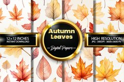 Autumn Leaves Digital Papers - 04 Variations Product Image 1