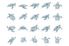 Summer Sea Turtle Clipart Product Image 7