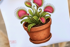 Carnivorous Plant Greenhouse Clipart | Venus Flytrap PNG Product Image 2