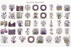 Summer Lavender Meadow Clipart Product Image 4