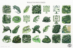 Summer Reptiles Garden Clipart Product Image 4