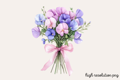 Sweet Pea Flower Watercolor Clipart PNG Product Image 1