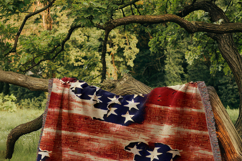 250th Anniversary Backgrounds Seamless Digital Paper Bundle Product Image 14